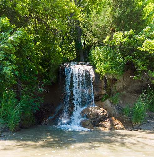 water waterfall between plants outdoors