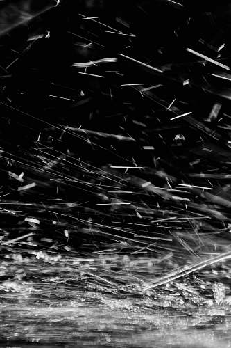 black-and-white  spider web