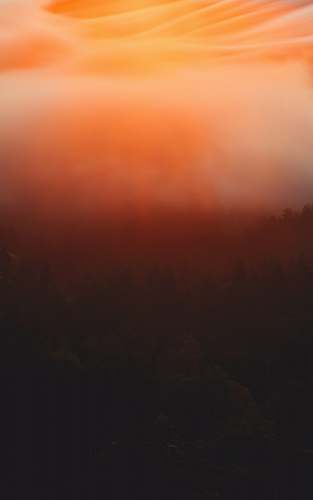 nature  sunset