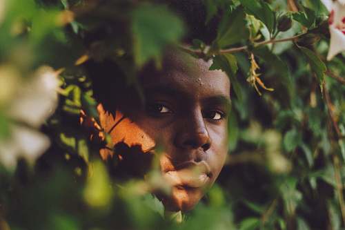 man man surrounded by green leaf plants during daytime male