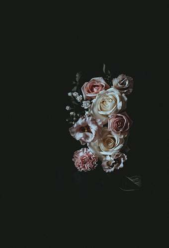 flower white and pink flower bouquet r roses