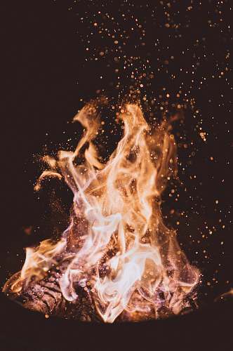 flame close-up photo of fire at nighttime bonfire