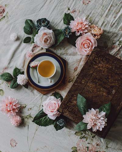 rose white teacup on plate surrounded pink roses tea