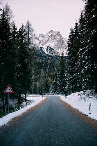 snow gray concrete road between green trees at daytime iphone wallpapers