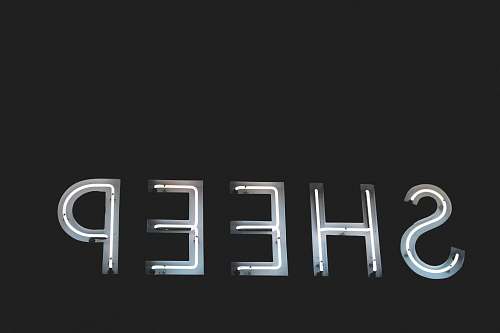 neon sheep neon light signage sheep