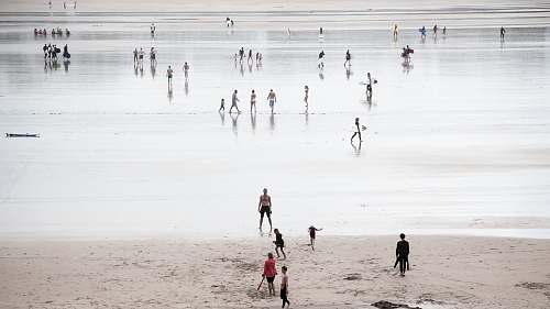 person people walking on beach nature