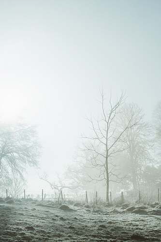 outdoors  weather