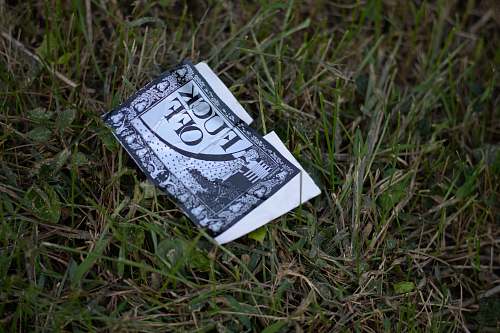 money white and grey printer paper on grass wristwatch