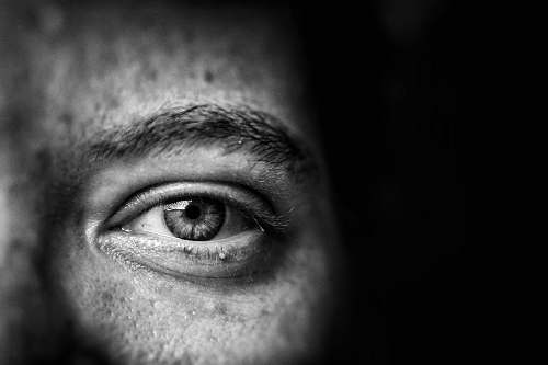black-and-white focus eye of human grey