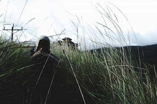 grass man in hoodie near grass flora