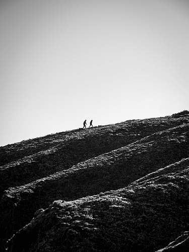 nature grayscale photo of person walking on hill slope