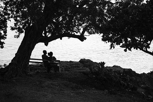 furniture grayscale photography of couple sitting on bench plant
