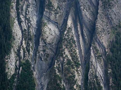 switzerland aerial photograph of forest tree