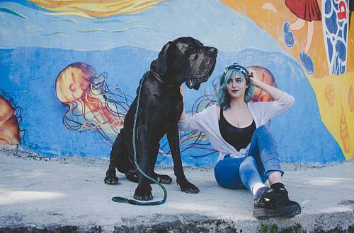 person woman sitting on street with her dog dog