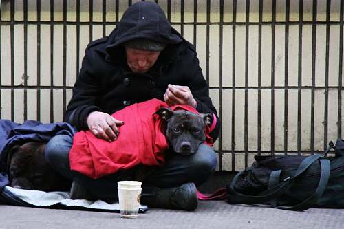 apparel dog on top of person's lap while sitting on ground at daytime clothing