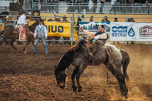 human man riding horse rodeo