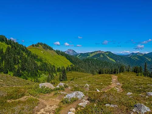 outdoors green trees on green grass field under blue sky during daytime mountain