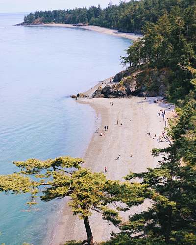 outdoors people in shore water