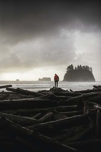 person photo of person wearing orange sweater standing on logs human