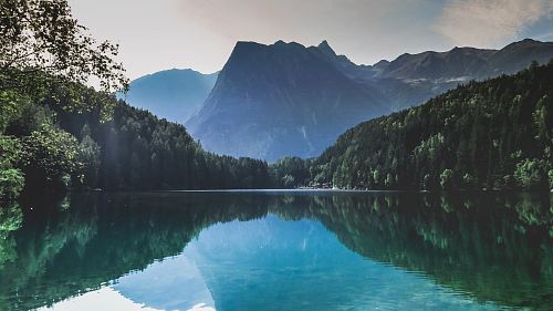 body of water near trees