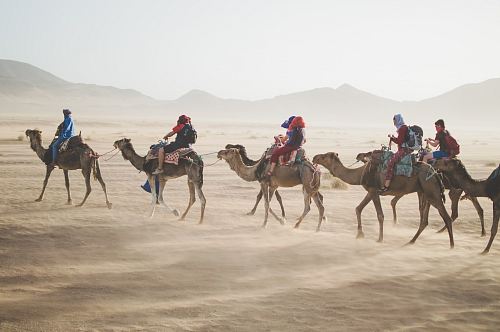 group of people riding camel on sand dune