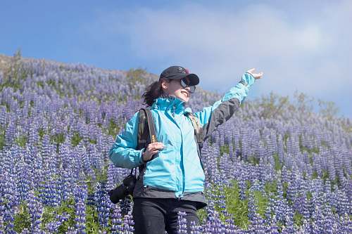 flower unknown person standing on lavender flower field lupin