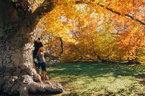 person man and woman near yellow-petaled flower tree human