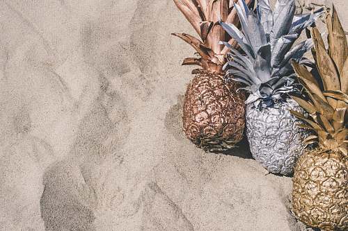 pineapple grey and brown pineapple fruit on grey surface plant