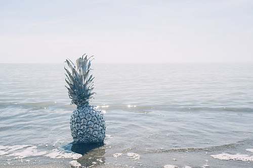 pineapple grey pineapple on sea during daytime water