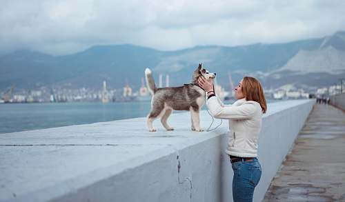 people woman standing while holding Syberian Husky puppy near sea person