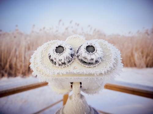 snow shallow focus photography of landscape viewer covered in ice frost