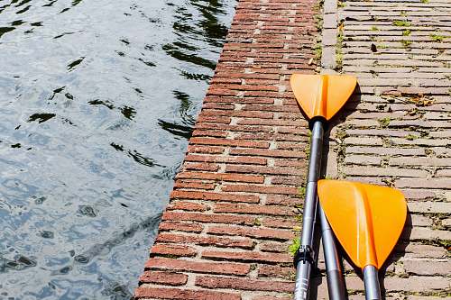 oars pair of yellow and silver paddles on gray surface paddle