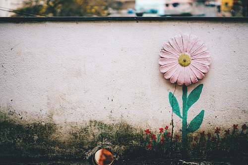 animal rule of thirds photography of pink flower art invertebrate