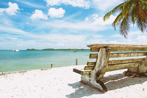 water brown wooden bench on white beach sand ocean