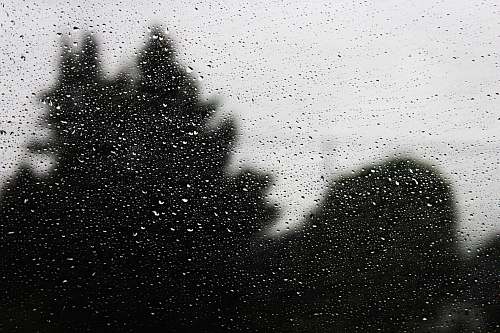 black  wet window