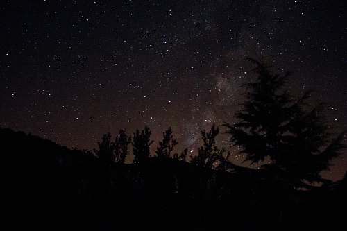 france silhouette photography of pine trees during night time milky way
