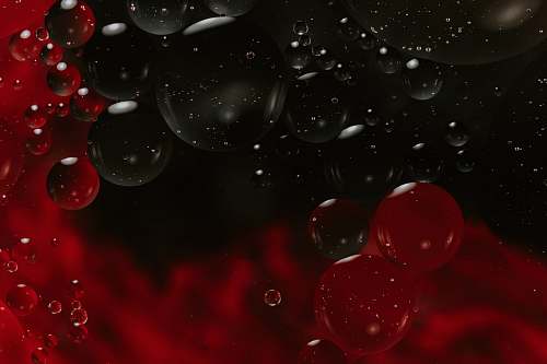 bubble time-lapse photography of bubbles plant