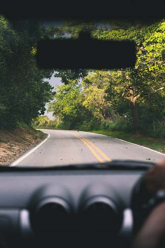 car grey asphalt road surrounded by trees driving