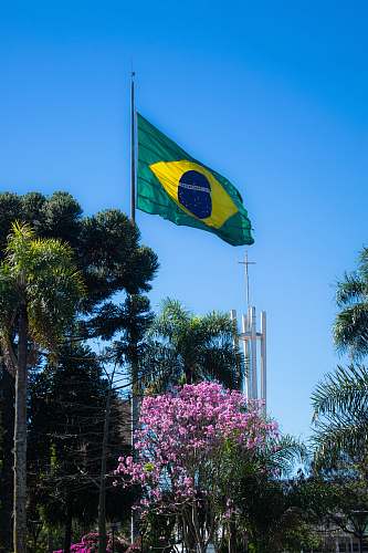 symbol green and yellow flag on pole erechim