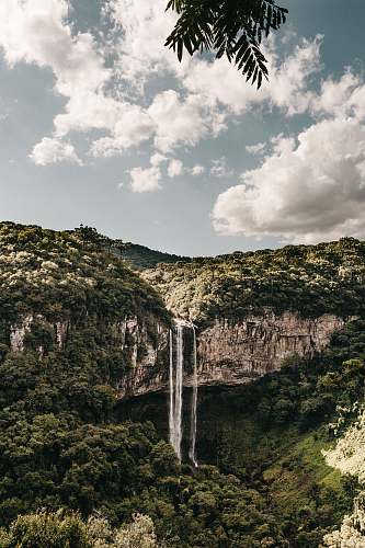 nature water falls beside trees in nature photography river