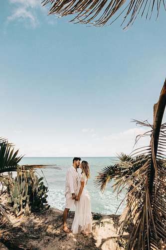 clothing man and woman standing near coconut tree plant