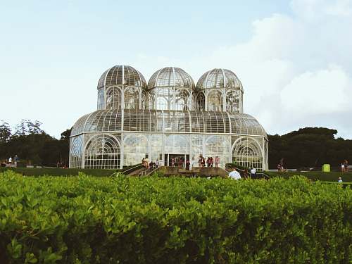 architecture building surrounded by green plants dome