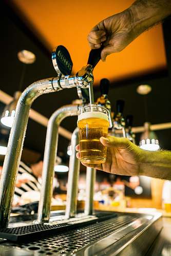 beer clear drinking glass alcohol