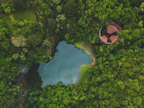 brazil bird's eye photography of body of water and trees free university of the environment - unilivre