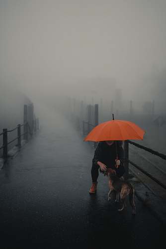 nature person and dog under red umbrella dog