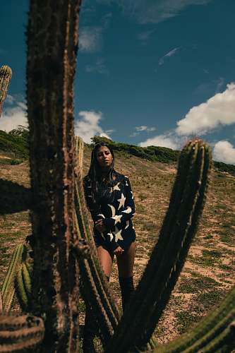 person woman standing beside cactus plant