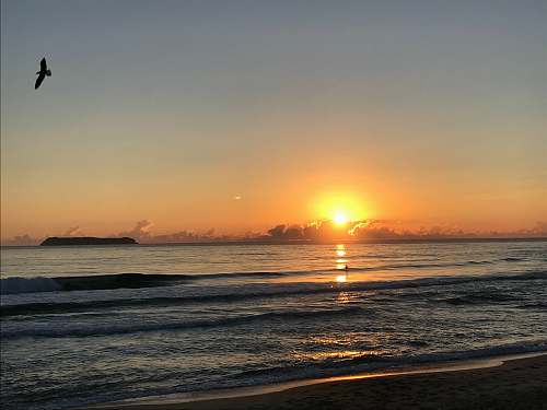 sunlight beach at sunset outdoors
