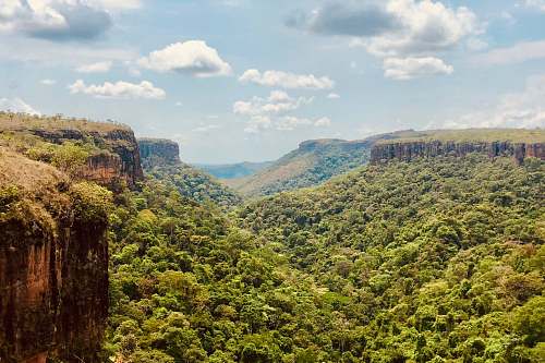 plant landscape photo of mountains and trees outdoors