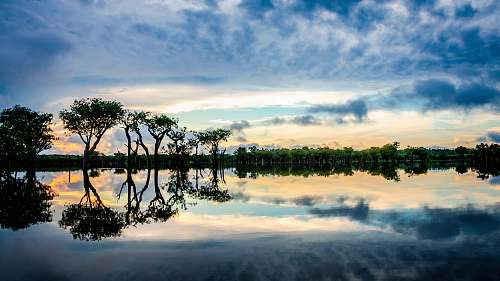 outdoors reflection on trees on clear body of water during sunset tree