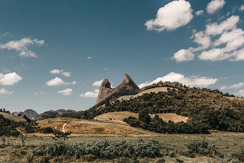 nature green trees on mountain espirito santo